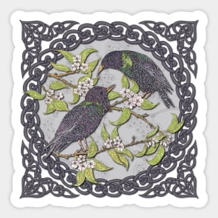 Celtic Starlings Sticker